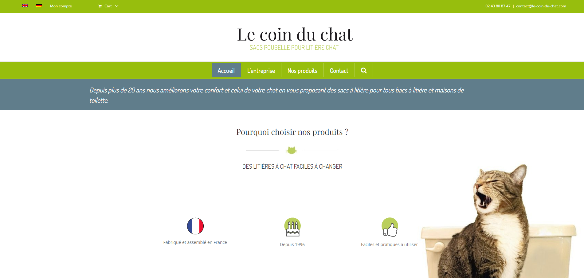 Page d'accueil du site du coin du chat